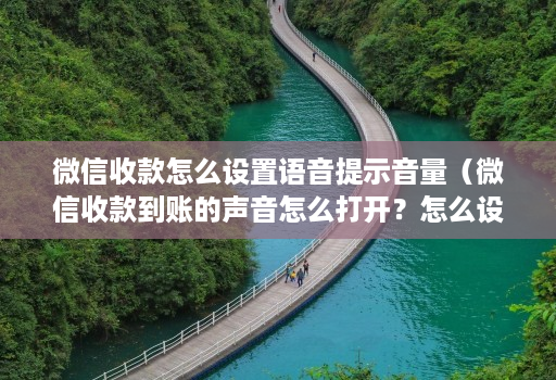 微信收款怎么设置语音提示音量（微信收款到账的声音怎么打开？怎么设置？）