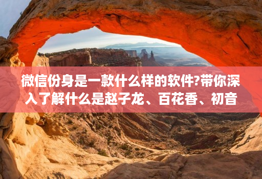 微信份身是一款什么样的软件?带你深入了解什么是赵子龙、百花香、初音未来
