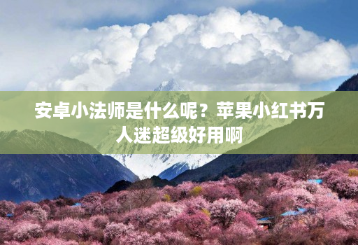 安卓小法师是什么呢？苹果小红书万人迷超级好用啊