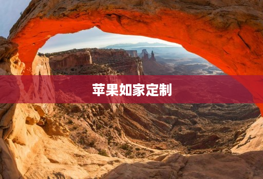 苹果如家定制