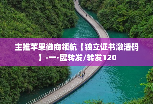 主推苹果微商领航【独立证书激活码】-一·键转发/转发120