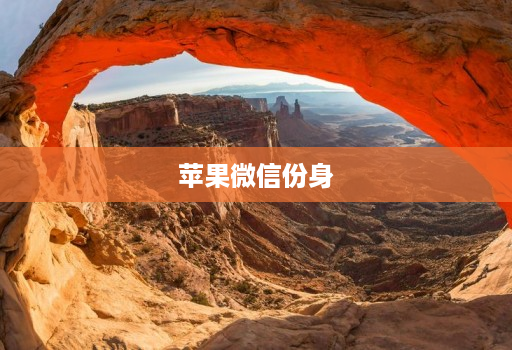 苹果微信份身