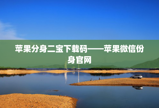 苹果分身二宝下载码——苹果微信份身官网