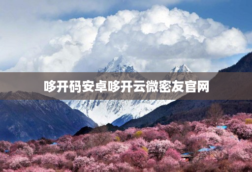 哆开码安卓哆开云微密友官网