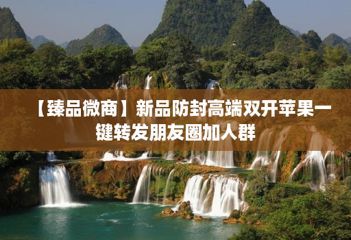 【臻品微商】新品防封高端双开苹果一键转发朋友圈加人群