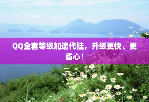 QQ全套等级加速代挂，升级更快、更省心！