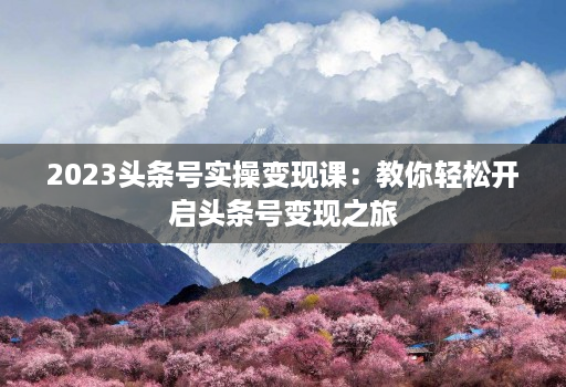 2023头条号实操变现课：教你轻松开启头条号变现之旅