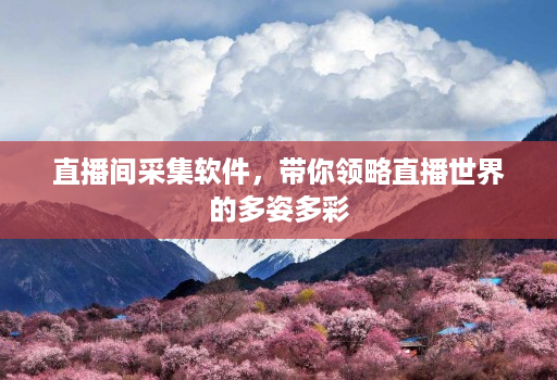 直播间采集软件，带你领略直播世界的多姿多彩