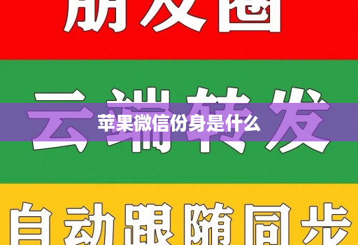 苹果微信份身是什么