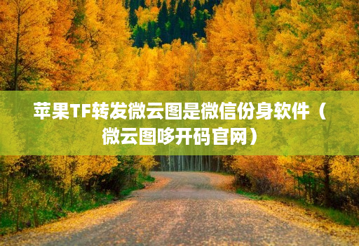 苹果TF转发微云图是微信份身软件（微云图哆开码官网）