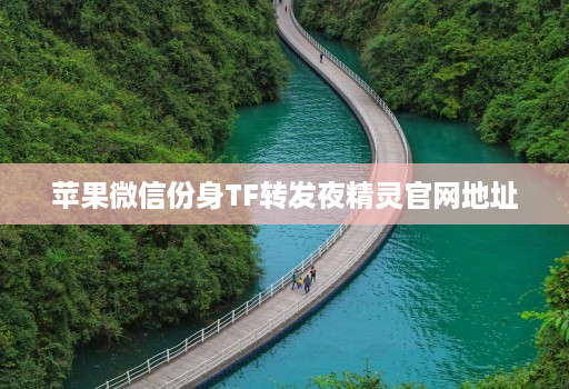 苹果微信份身TF转发夜精灵官网地址