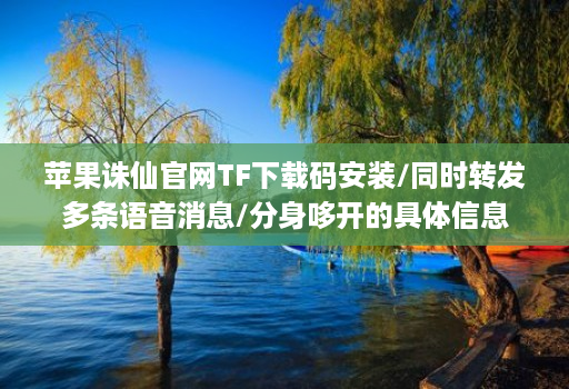 苹果诛仙官网TF下载码安装/同时转发多条语音消息/分身哆开的具体信息