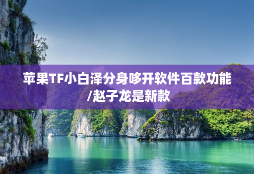 苹果TF小白泽分身哆开软件百款功能 /赵子龙是新款