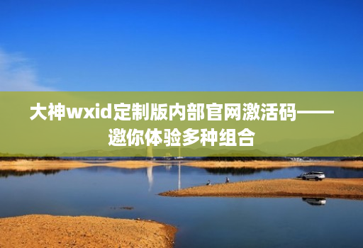 大神wxid定制版内部官网激活码——邀你体验多种组合