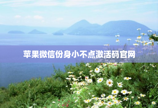 苹果微信份身小不点激活码官网