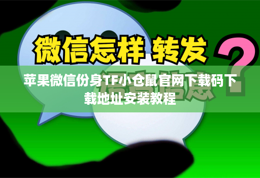 苹果微信份身TF小仓鼠官网下载码下载地址安装教程