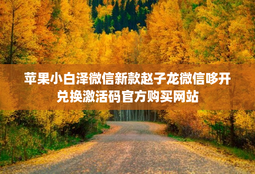 苹果小白泽微信新款赵子龙微信哆开兑换激活码官方购买网站