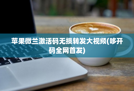 苹果微兰激活码无损转发大视频(哆开码全网首发)