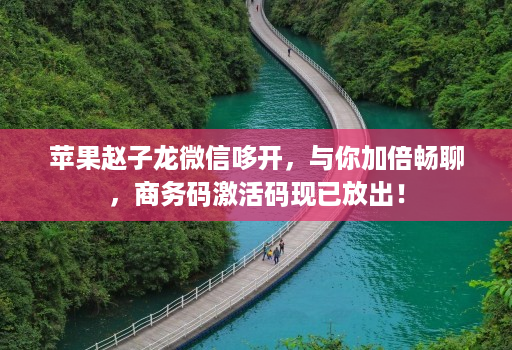 苹果赵子龙微信哆开，与你加倍畅聊，商务码激活码现已放出！
