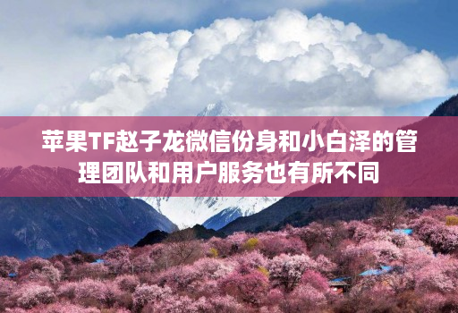 苹果TF赵子龙微信份身和小白泽的管理团队和用户服务也有所不同