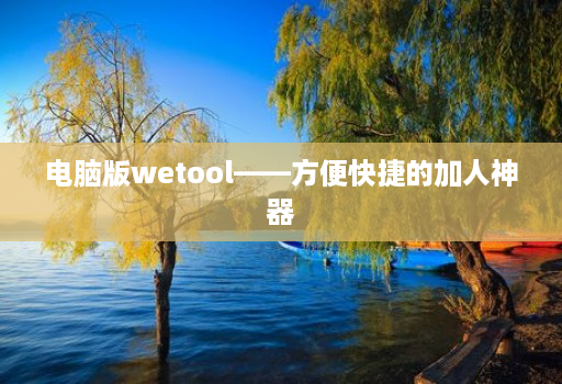 电脑版wetool——方便快捷的加人神器