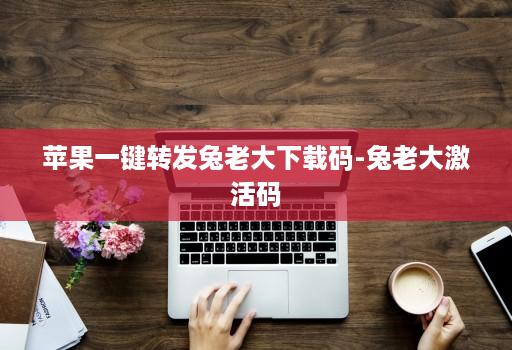 苹果一键转发兔老大下载码-兔老大激活码