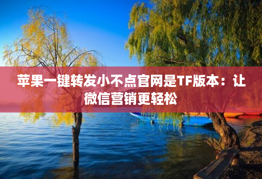 苹果一键转发小不点官网是TF版本：让微信营销更轻松