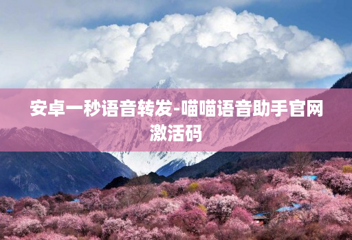安卓一秒语音转发-喵喵语音助手官网激活码