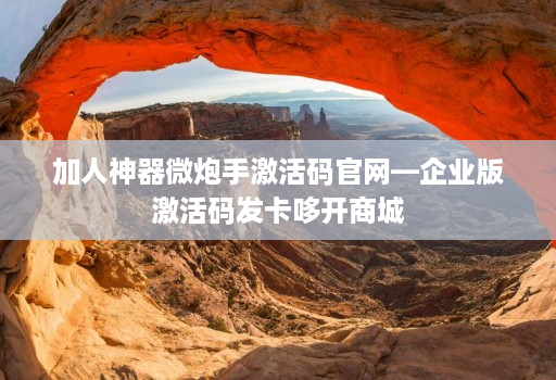 加人神器微炮手激活码官网—企业版激活码发卡哆开商城