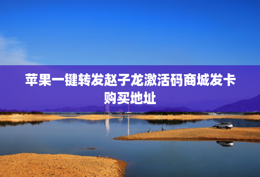 苹果一键转发赵子龙激活码商城发卡购买地址