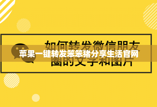 苹果一键转发笨笨猪分享生活官网