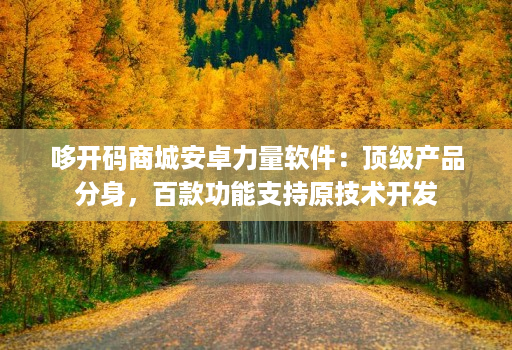 哆开码商城安卓力量软件：顶级产品分身，百款功能支持原技术开发