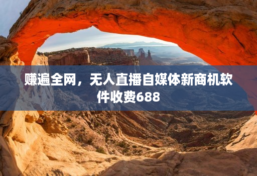 赚遍全网，无人直播自媒体新商机软件收费688