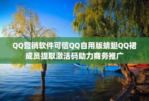 QQ营销软件可信QQ自用版蜻蜓QQ裙成员提取激活码助力商务推广