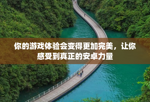 你的游戏体验会变得更加完美，让你感受到真正的安卓力量