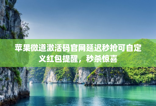苹果微道激活码官网延迟秒抢可自定义红包提醒，秒杀惊喜