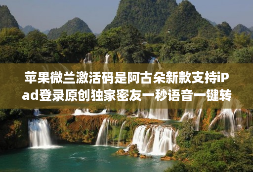 苹果微兰激活码是阿古朵新款支持iPad登录原创独家密友一秒语音一键转语音