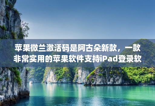 苹果微兰激活码是阿古朵新款，一款非常实用的苹果软件支持iPad登录软件