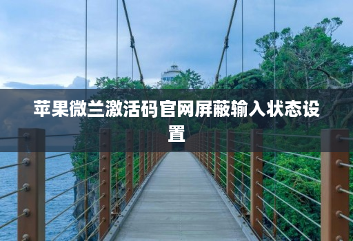 苹果微兰激活码官网屏蔽输入状态设置