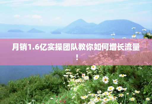 月销1.6亿实操团队教你如何增长流量！