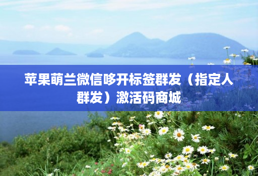 苹果萌兰微信哆开标签群发（指定人群发）激活码商城