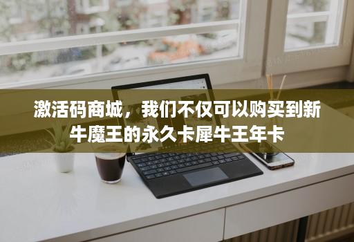 激活码商城，我们不仅可以购买到新牛魔王的永久卡犀牛王年卡