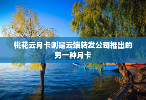 桃花云月卡则是云端转发公司推出的另一种月卡