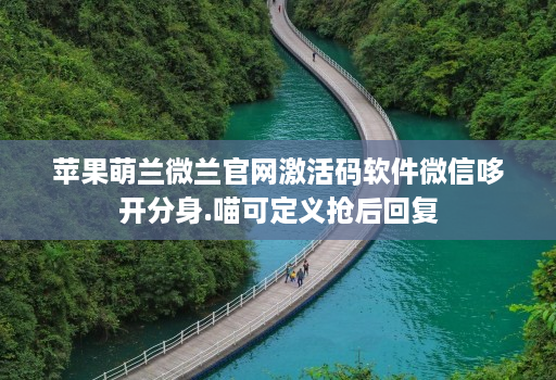 苹果萌兰微兰官网激活码软件微信哆开分身.喵可定义抢后回复