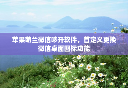 苹果萌兰微信哆开软件，首定义更换微信桌面图标功能