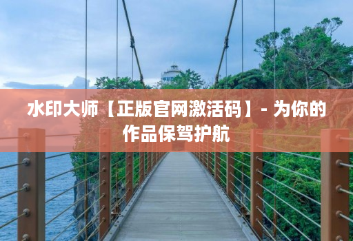 水印大师【正版官网激活码】- 为你的作品保驾护航