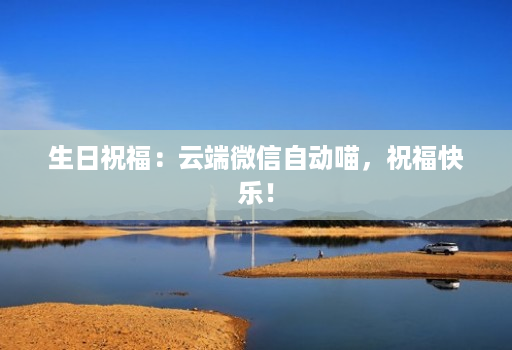 生日祝福：云端微信自动喵，祝福快乐！