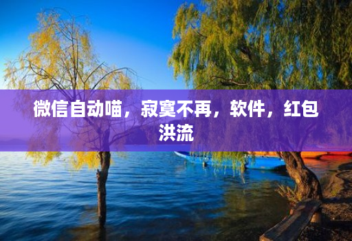 微信自动喵，寂寞不再，软件，红包洪流