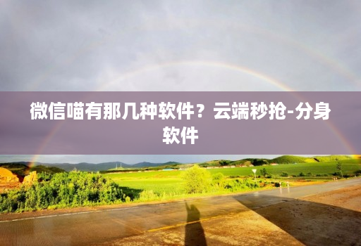 微信喵有那几种软件？云端秒抢-分身软件