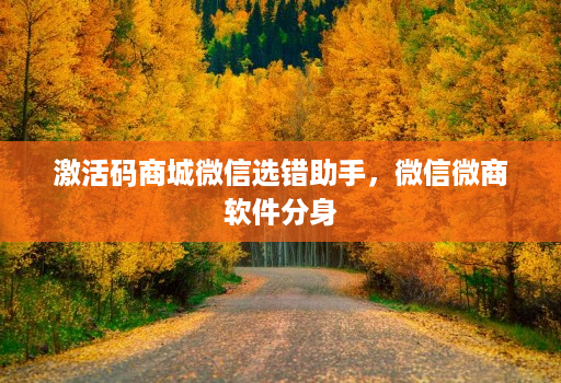 激活码商城微信选错助手，微信微商软件分身